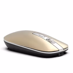 Inca IWM-531RS souris Bluetooth