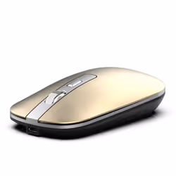 Inca IWM-531RS souris Bluetooth