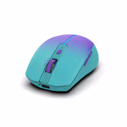 Inca IWM-511RM souris Droitier RF Wireless + Bluetooth + USB Type-C Optique 1600 DPI