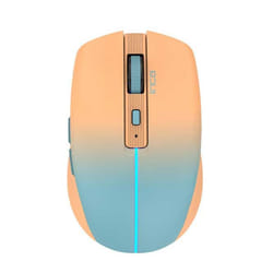 Inca IWM-511RT souris Droitier RF Wireless + Bluetooth + USB Type-C Optique 1600 DPI