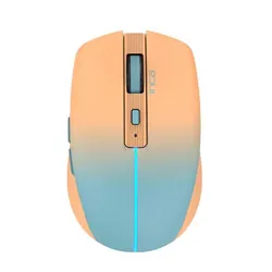 Inca IWM-511RT souris Droitier RF Wireless + Bluetooth + USB Type-C Optique 1600 DPI