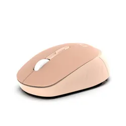 Inca IWM-243RH souris