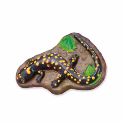 SES Creative Moulage et peinture - Animaux effrayants - Vue supplémentaire 3