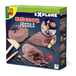 SES Creative Explore Découvre des fossiles