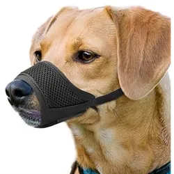 Muselière Chien Safety 10Cm - Noir