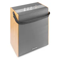 Fenton VBS80 Gris, Bois 40 W