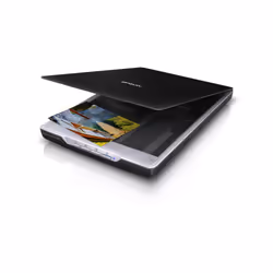 Epson Perfection V19 Numérisation à plat 4800 х 4800 A4 Noir (B11B231401)