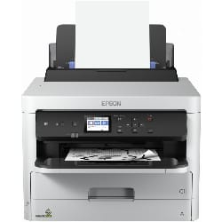 Imprimante mobile Jet d'encre Epson Workforce WF-100W (C11CE05403