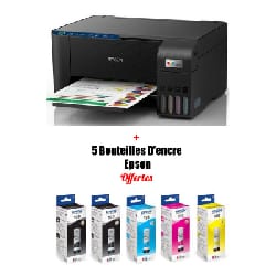 Imprimante mobile Jet d'encre Epson Workforce WF-100W (C11CE05403