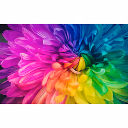 Epson EF-11, 1000 ANSI lumens, 3LCD, 1080p (1920x1080), 2500000:1, 16:9, 762 - 3810 mm (30 - 150")