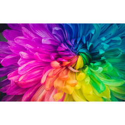 Epson EF-11 (V11HA23040)