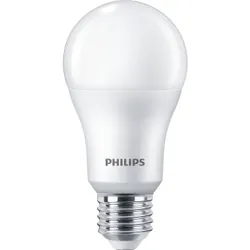Philips 8718699733667 ampoule LED 15 W E27
