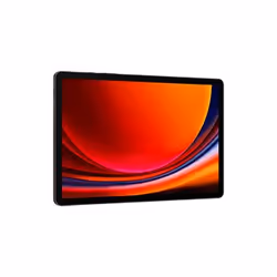 Samsung Galaxy Tab S9 SM-X716B 5G 128 Go 27,9 cm (11") Qualcomm Snapdragon 8 Go Wi-Fi 6 (802.11ax) Android 13 Graphite - Vue supplémentaire 2