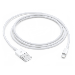 Apple MD818ZM/A câble Lightning 1 m Blanc