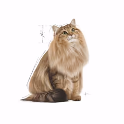 Royal Canin 9003579000366 nourriture humide pour chats 85 g - Vue supplémentaire 3