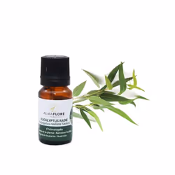 Almaflore Huile essentielle de Eucalyptus Radié 10ML