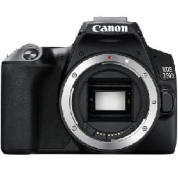 Appareil Photo Reflex CANON EOS 250D Noir + Objectif 18-55 mm