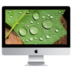 Apple iMac 21.5" 4096 x 2304 pixels 8 Go 1 To HDD Mac OS X 10.11 El Capitan Argent
