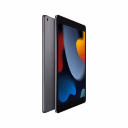Apple iPad 64 Go 25,9 cm (10.2") Gris - Vue supplémentaire 2