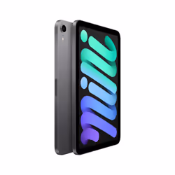 Apple iPad mini 256 Go Gris - Vue supplémentaire 2