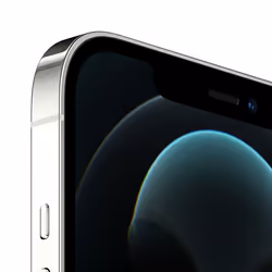 Apple iPhone 12 Pro Max 128 Go Argent