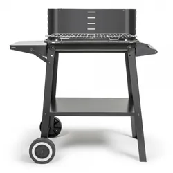 Barbecue à Charbon LIVOO DOC328 - Noir