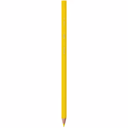 BIC 8902881 crayon de couleur Noir, Bleu, Marron, Or, Vert, Gris, Bleu clair, Vert clair, Orange, Rose, Violet, Rouge, Jaune 18 pièce(s) - Vue supplémentaire 4