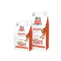 Brit 8595602540853 croquette pour chat 2 kg Junior Poulet