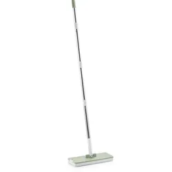 Brosse Sillgech Ramasse Miettes Pour Tapis Vert