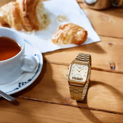 Casio AQ-230GA-9DMQ montre