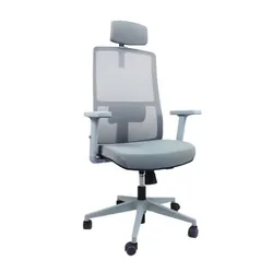 Chaise de Direction Geox Avec Accoudoirs & Repose tête - Gris