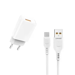 Chargeur Denmen 2.4A avec câble micro USB - Blanc (DC01V)