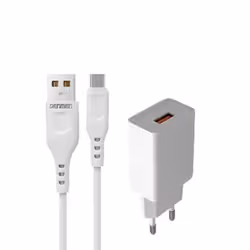 Chargeur Denmen 2.4A avec câble Type C - Blanc (DC01T)