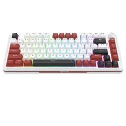 Clavier Gamer Mécanique REDRAGON K721WRB-RGB TKL