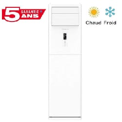 Climatiseur Armoire Éco Énergétique 60 000 BTU Chaud/Froid ECO60CF