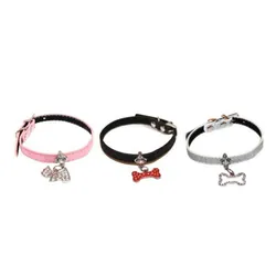 Collier Charm Pour Chien 1 x 30 cm- Assortis