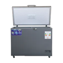 Congélateur Horizontal BIOLUX MOD-CR35S 350 Litres - Gris