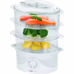 Cuiseur vapeur - 3 récipients pour cuiseur à la vapeur, 1 couvercle, 1 bol à riz - Réservoir d'eau semi-transparent 1.5 L - B ...