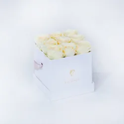 DÉLICATESSE : BOX BLANCHE ROSES BLANCHES