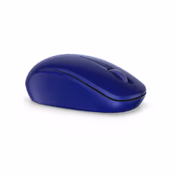 DELL WM126 souris Ambidextre RF sans fil Optique 1000 DPI