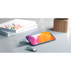 Disque Dur Flash iXpand Flip USB 128 Go Double Connexion Type-A/Lightning Gris Argent Transparent - Vue supplémentaire 10