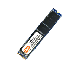 Disque Dur Interne DATO DP700 256Go SSD PCIe (DP700-256G)