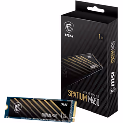 Disque Dur Interne SSD MSI Spatiul M450 1To M.2 NVMe Noir