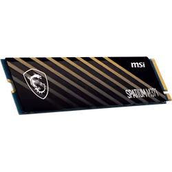 Disque Dur Interne SSD NVMe M.2 MSI Spatium M371 - 500Go Rapide et Fiable