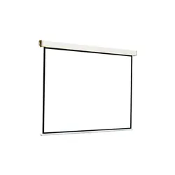 Écran de Projection Manuel 244x244cm MS-96S - Grand Écran pour Présentations