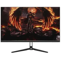 Ecran Gaming AERO QG25DFA 24.5" Full HD 240Hz