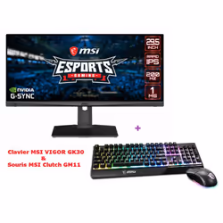 Ecran Gaming Incurvé MSI Optix 29.5" MAG301RF WFHD / RGB / 200Hz