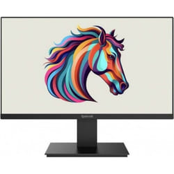 Ecran Gaming Redragon Thugga II 21.5" FHD 100HZ Noir