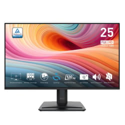 Ecran MSI PRO MP251 E2 25" IPS FHD 120Hz Noir