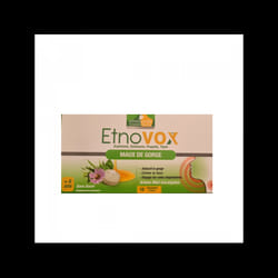 ETNOVOX MAUX DE GORGE MIEL ET EUCALYPTUS 16 CP À SUCER